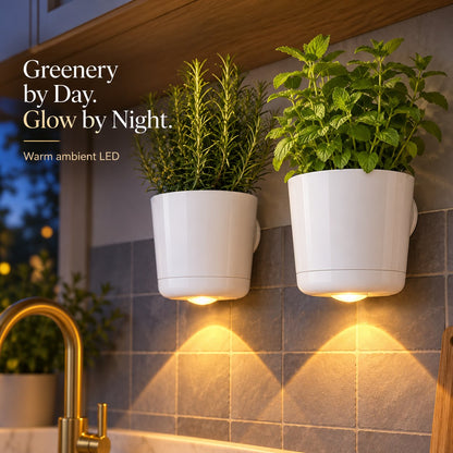 🌿✨ Turn a Blank Wall Into a Softly Glowing Greenery Spot — the White Wall-Mounted Planter Holds Your Favorite Herb