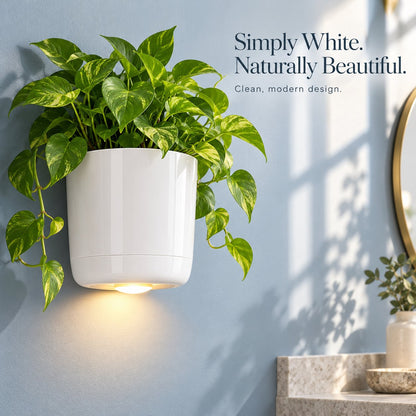 🌿✨ Turn a Blank Wall Into a Softly Glowing Greenery Spot — the White Wall-Mounted Planter Holds Your Favorite Herb