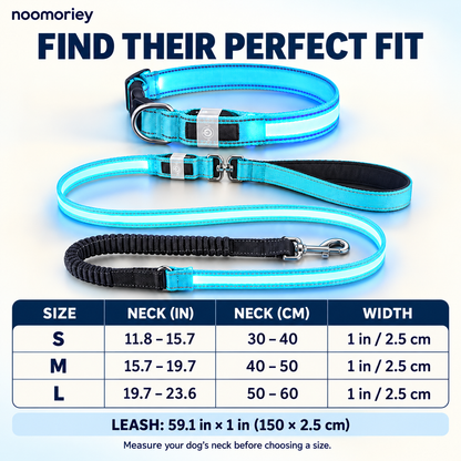 🐾 Rechargeable LED Dog Collar & Bungee Leash Set