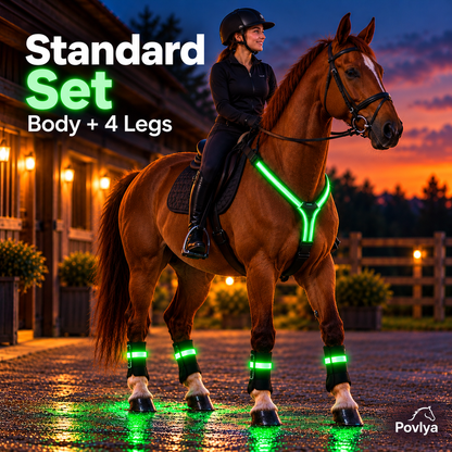 🐎 LED Horse Safety Light Set ✨ Stay Visible on Every Night Ride