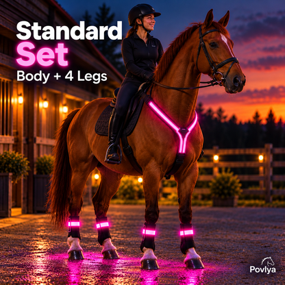 🐎 LED Horse Safety Light Set ✨ Stay Visible on Every Night Ride