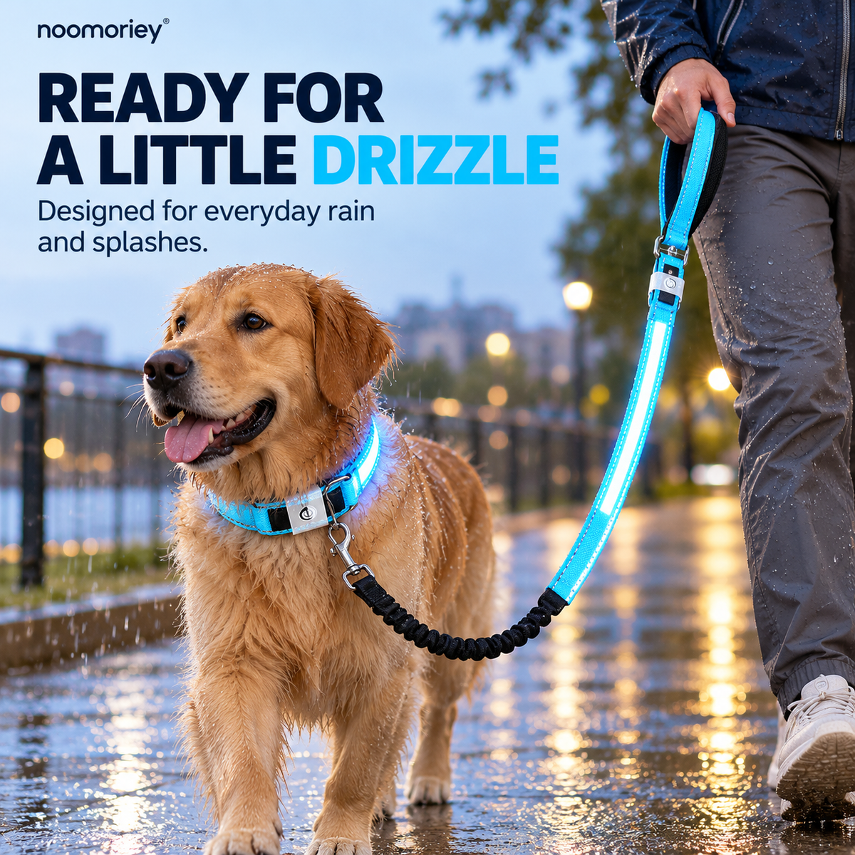 🐾 Rechargeable LED Dog Collar & Bungee Leash Set