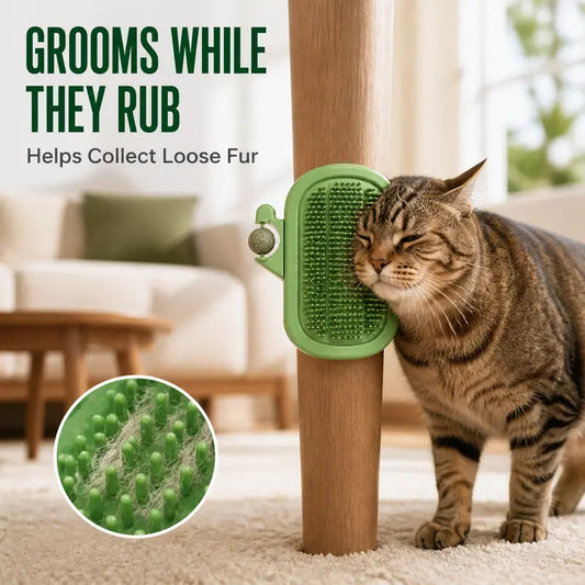🐱 3-in-1 Cat Corner Groomer – Self-Grooming Brush + Catnip & Feather Play