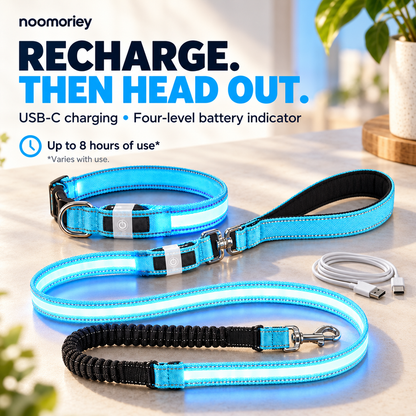 🐾 Rechargeable LED Dog Collar & Bungee Leash Set