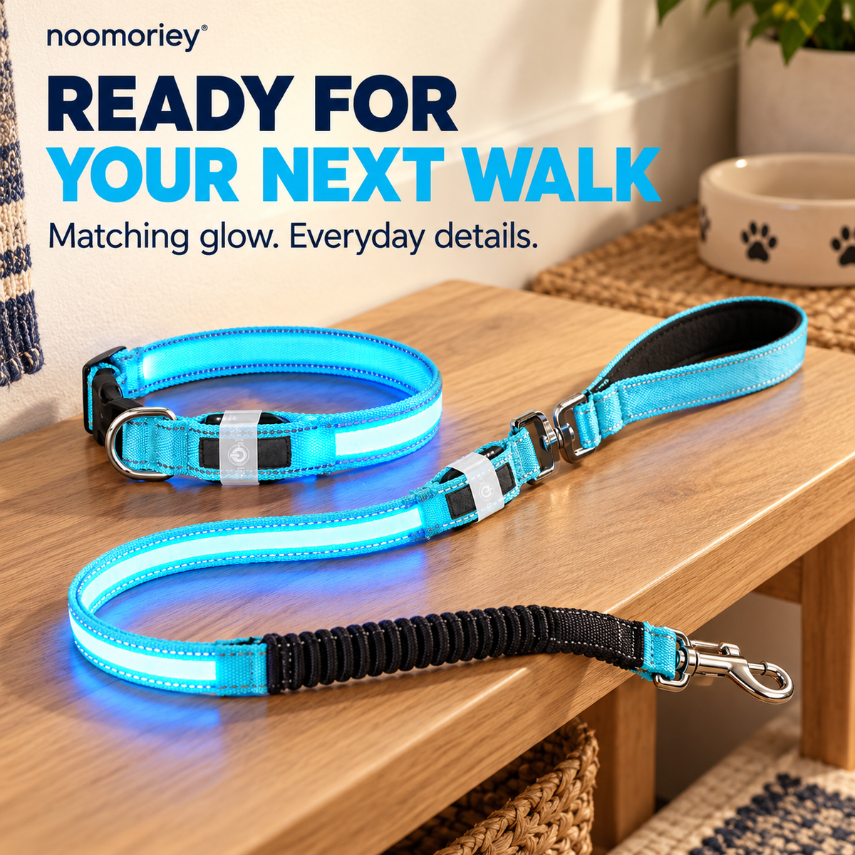 🐾 Rechargeable LED Dog Collar & Bungee Leash Set