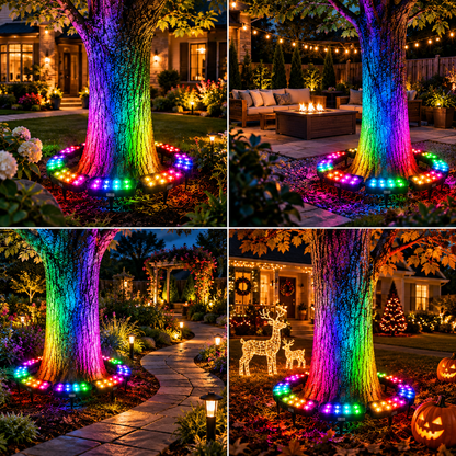 ✨Modular Ring Tree Landscape Lights – 360° Outdoor Uplighting for Trees & Columns