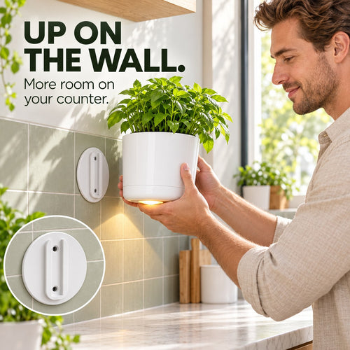 🌿✨ Turn a Blank Wall Into a Softly Glowing Greenery Spot — the White Wall-Mounted Planter Holds Your Favorite Herb