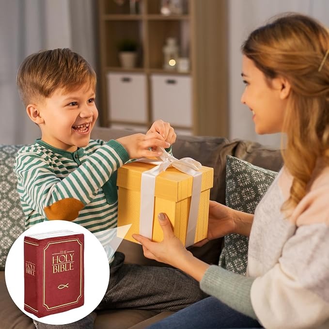 Bible Book Pillow meaningful gift